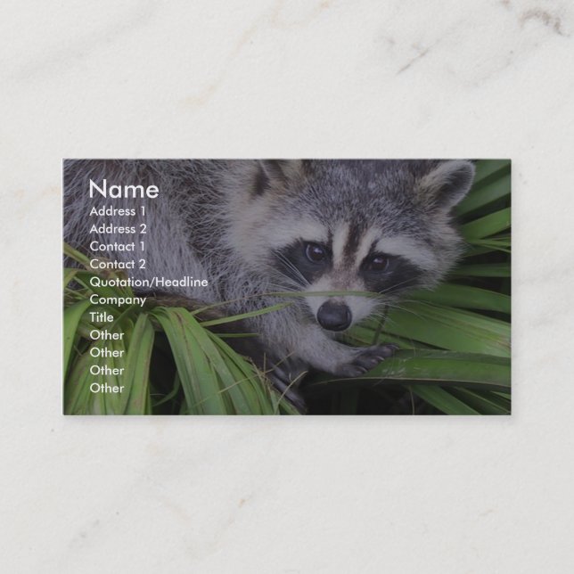 Racoon In The Plants Business Card (Front)