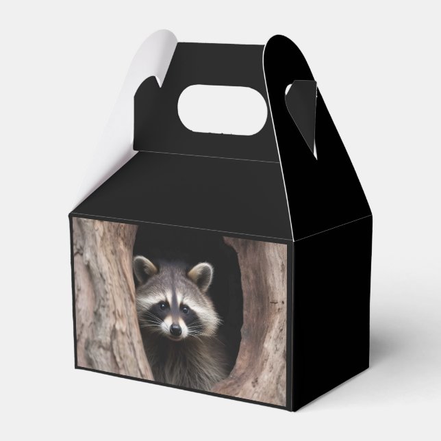 Racoon in Tree Cave  Favour Box (Front Side)