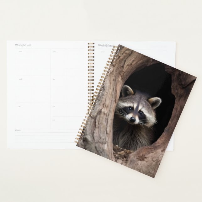 Racoon in Tree Cave  Planner (Display)
