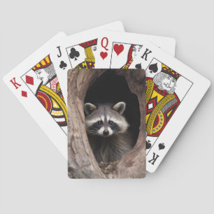 Racoon in Tree Cave Playing Cards