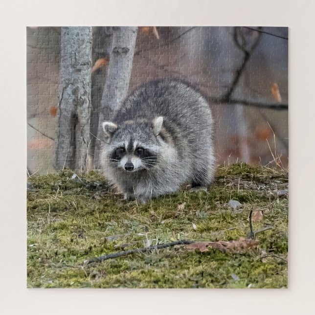 Racoon Jigsaw Puzzle (Vertical)
