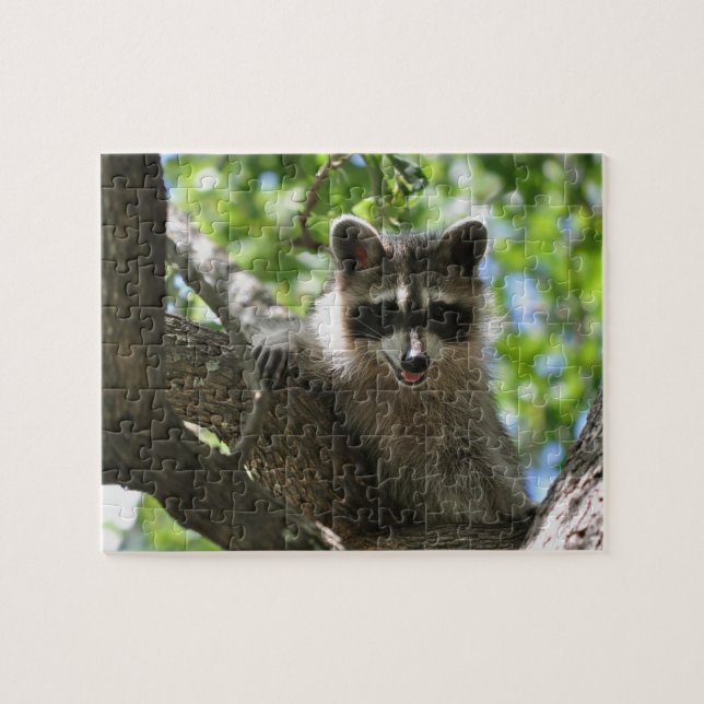 Racoon - Jigsaw Puzzle (Horizontal)