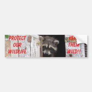 Racoon Keep Them Wild!! Bumoer Sticker
