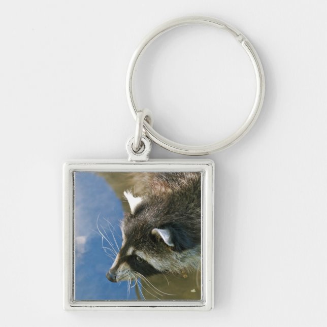 Racoon Key Ring (Front)