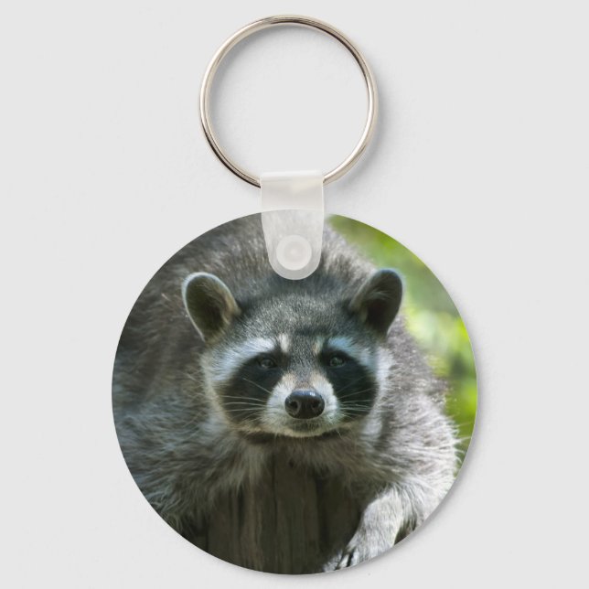 Racoon Key Ring (Front)