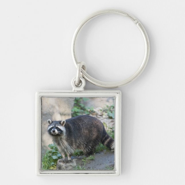 Racoon Keychain (Front)