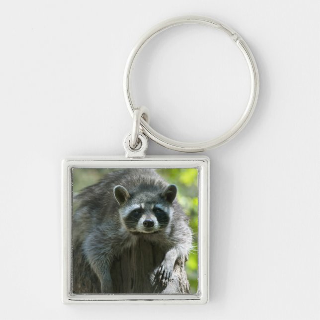 Racoon Keychain (Front)