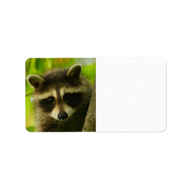 racoon label (Front)