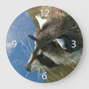 Racoon Large Clock