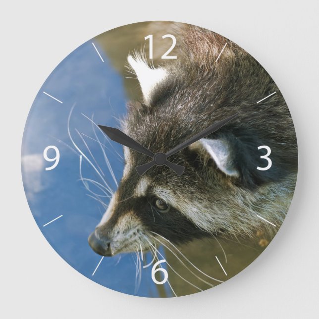 Racoon Large Clock (Front)