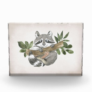 Racoon Lover Baby Racoon Nursery Art Photo Block