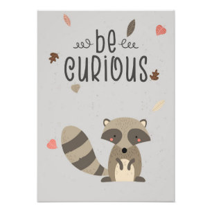 Racoon Lover Be Curious Racoon Photo Print