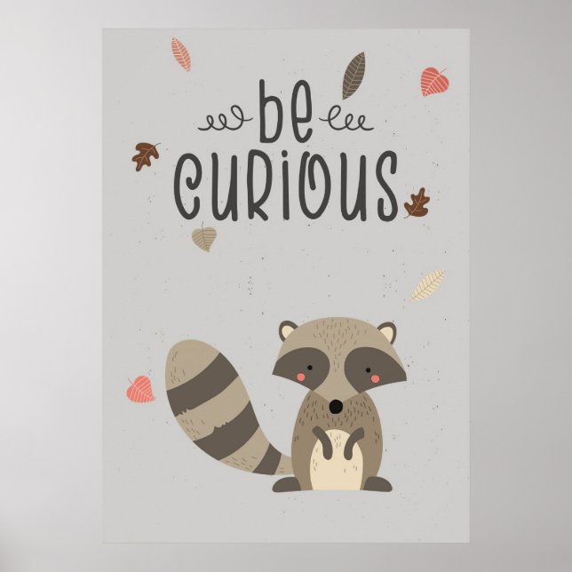 Racoon Lover Be Curious Racoon Poster (Front)