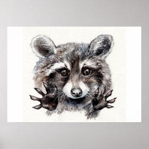 Racoon Lover Lovely Baby Racoon Poster