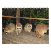 Racoon Lovers Photo Calendar