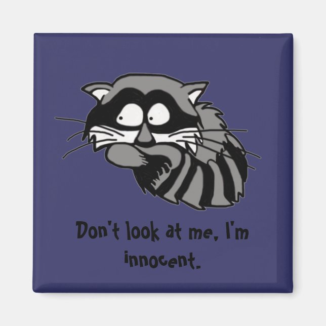 Racoon Magnet (Front)