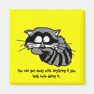 Racoon Magnet