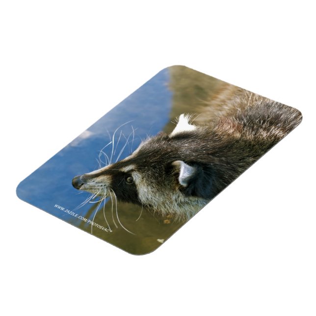 Racoon Magnet (Left Side)