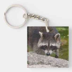 Racoon Makes Direct Eye Contact Key Ring