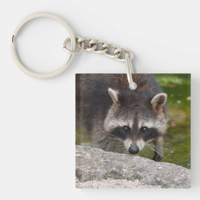 Racoon Makes Direct Eye Contact Key Ring (Front)