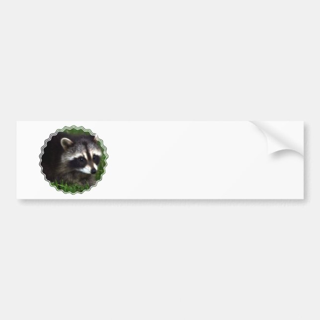 Racoon Mask Bumper Sticker (Front)