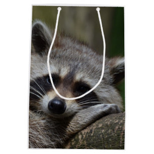 Racoon Medium Gift Bag
