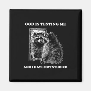 Racoon Meme Funny Saying God Is Testing Me Street Magnet