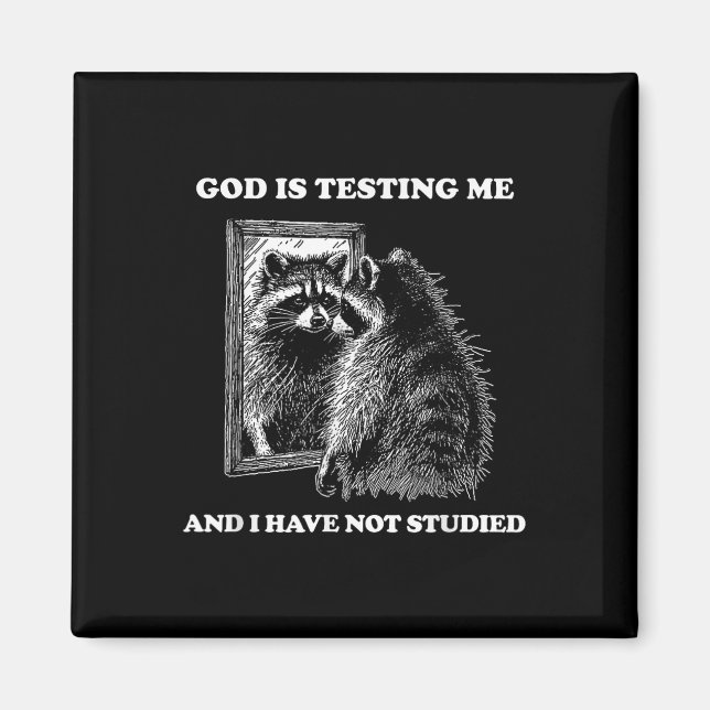 Racoon Meme Funny Saying God Is Testing Me Street Magnet (Front)