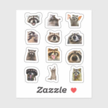 Racoon Meme Funny Sticker Set Bundle