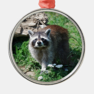 Racoon Metal Ornament