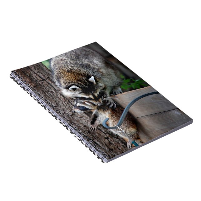 Racoon Mother and Kit 3 Notebook (Right Side)