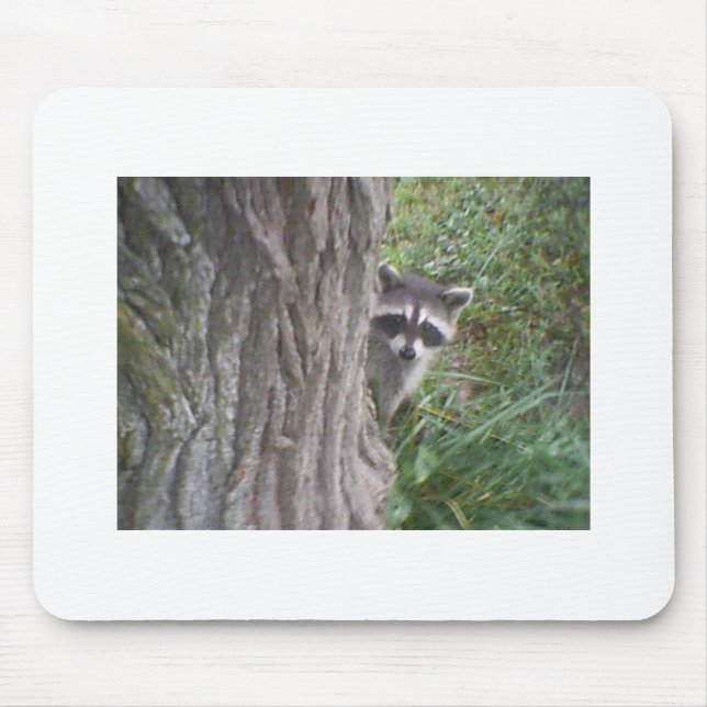 Racoon Mouse Pad (Front)