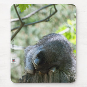 Racoon Mousepad