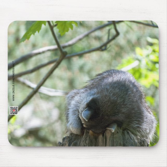 Racoon Mousepad (Front)