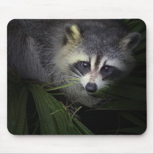 Racoon Mousepad
