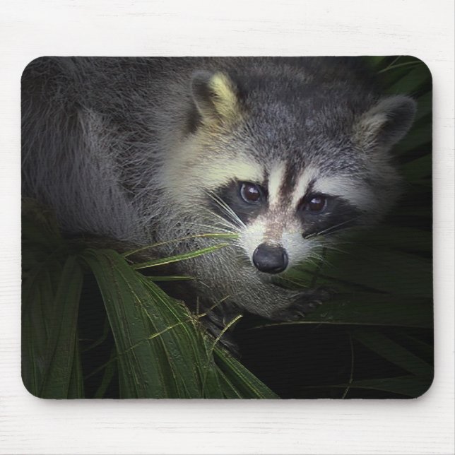 Racoon Mousepad (Front)