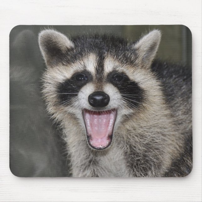 Racoon Mousepad - #1025 (Front)