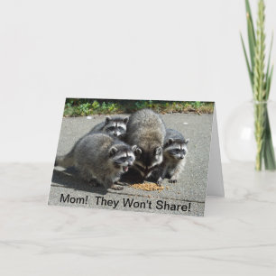 Racoon Mum & Babies Card