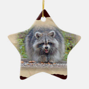 Racoon - My bird seed! Ceramic Tree Decoration