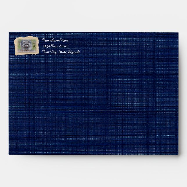 Racoon - My bird seed! Envelope (Front)