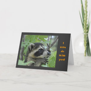 Racoon - Notecard