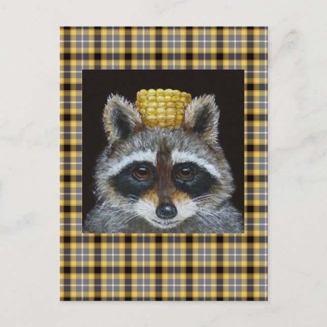 Racoon on plaid postcard (Front)