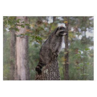 Racoon on stump cutting board