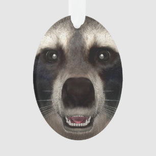 Racoon Ornament