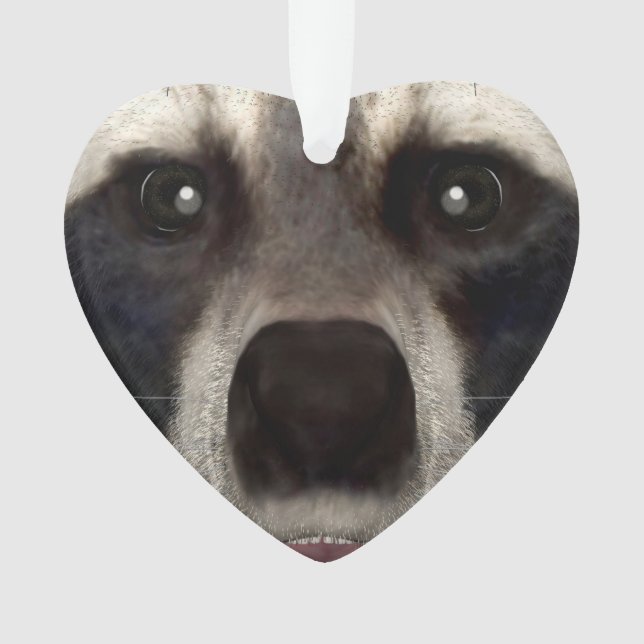 Racoon Ornament (Front)