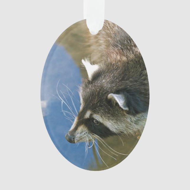 Racoon Ornament (Front)
