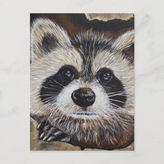 Racoon Painting Postcard (Front)