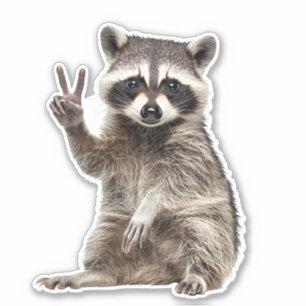 Racoon Peace Sign