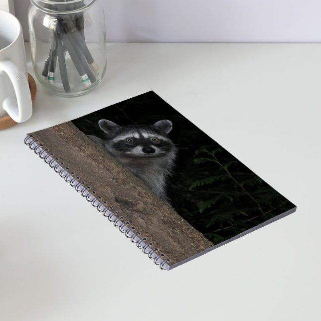 Racoon Peeking from Behind Tree Nature Photo Notebook (In Situ)