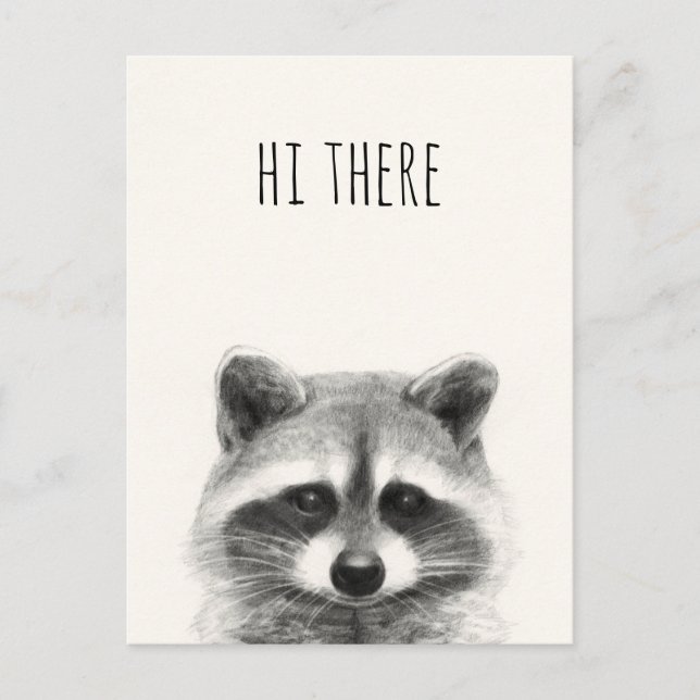 Racoon Pencil Drawing - Hi There Postcard (Front)